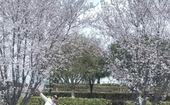 女友小月被教练猛烈进出视小说